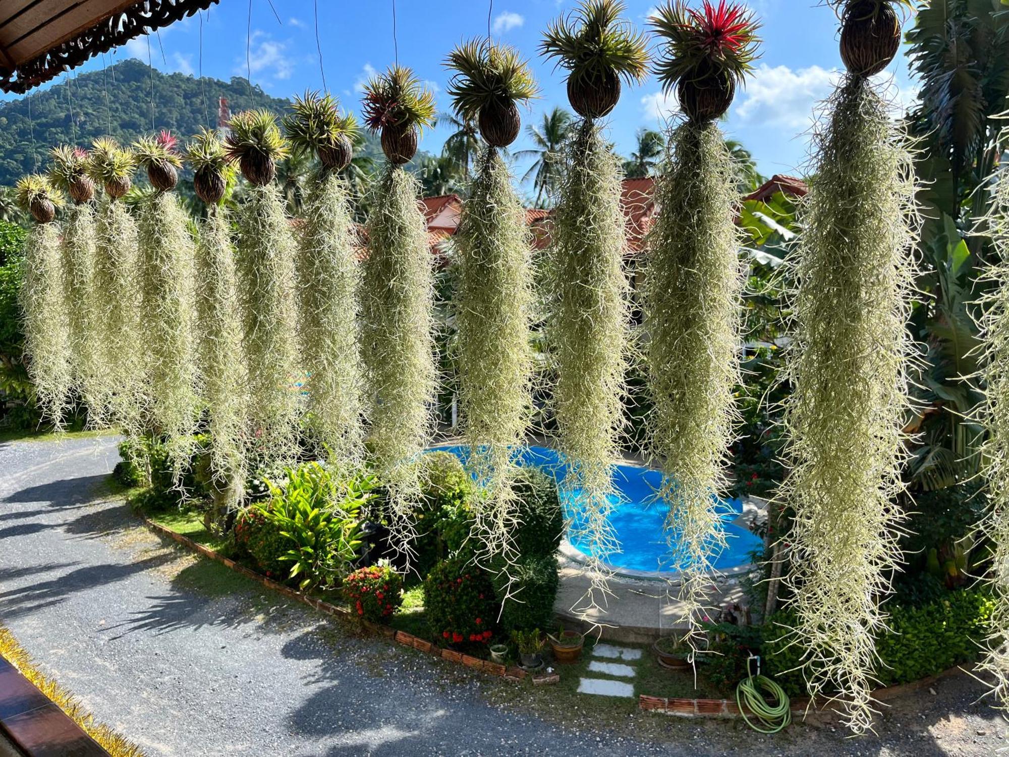 Amy Village Garden Resort شاطئ لاماي المظهر الخارجي الصورة